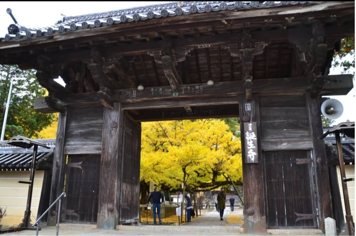 誕生寺の文化財 | 浄土宗祖法然上人ご誕生の地
